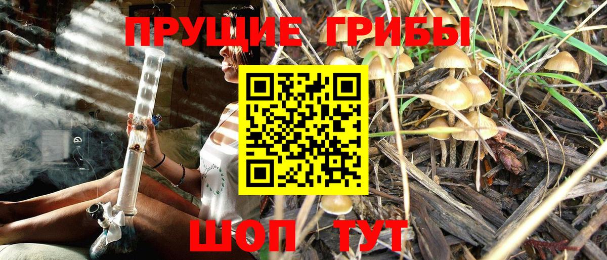Лосино-Петровский  Псилоцибиновые грибы прущие грибы  Вход с VPN 